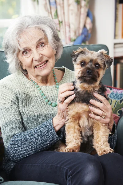 Старша жінка тримає собаку — стокове фото