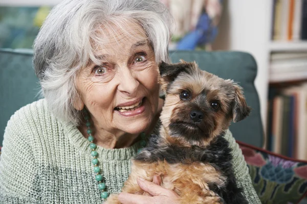 Donna anziana che tiene il cane domestico all'interno — Foto Stock