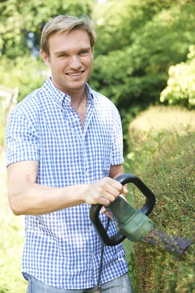 Uomo taglio giardino siepe con taglierina elettrica — Foto Stock