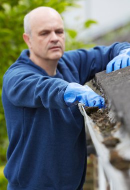 Man Clearing Leaves From Guttering Of House clipart
