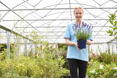 Portrait Of Female Employee At Garden Center Holding Plant clipart