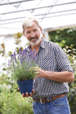 Mature Man Choosing Plants At Garden Center clipart