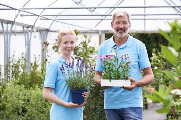 Portrait du personnel au Garden Center tenant des plantes — Photo