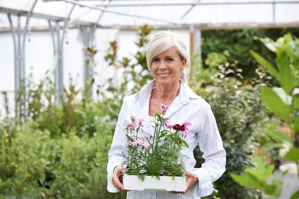 Mogen kvinna välja växter på Garden Center — Stockfoto