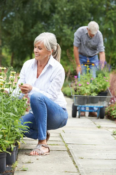 Oudere paar winkelen bij tuin centrum — Stockfoto