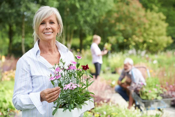 Mogen kvinna välja växter på Garden Center Stockbild