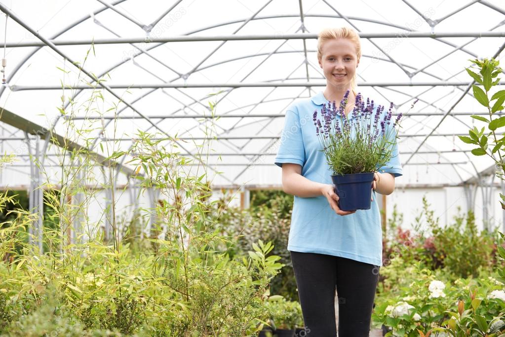 Portrait Of Female Employee At Garden Center Holding Plant