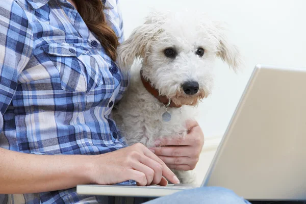 坐在旁边所有者使用笔记本电脑的狗 — 图库照片