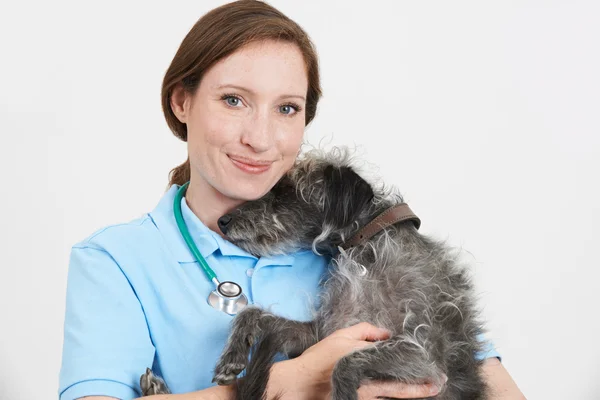 Studioporträt einer Tierärztin mit lauerndem Hund — Stockfoto