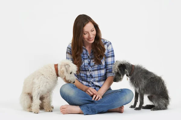 Studio shot di donna con due animali da compagnia lurcher cani — Foto Stock