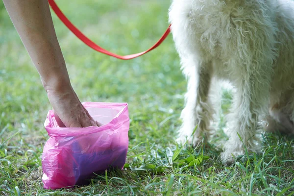 Proprietário de limpeza de lixo do cão com Pooper Scooper — Fotografia de Stock