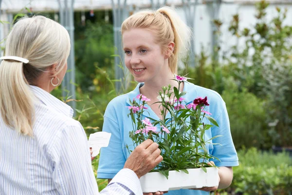 Equipe dando conselhos de plantas para o cliente feminino no centro de jardim — Fotografia de Stock