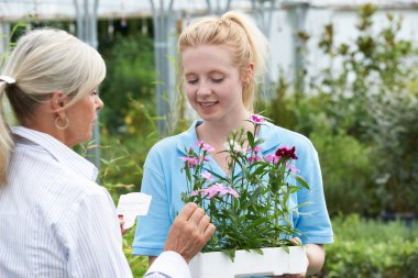 Staff Giving Plant Advice To Female Customer At Garden Center clipart