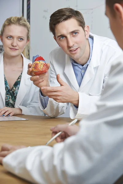 Lärare med modell i hjärtat i biologi klass — Stockfoto