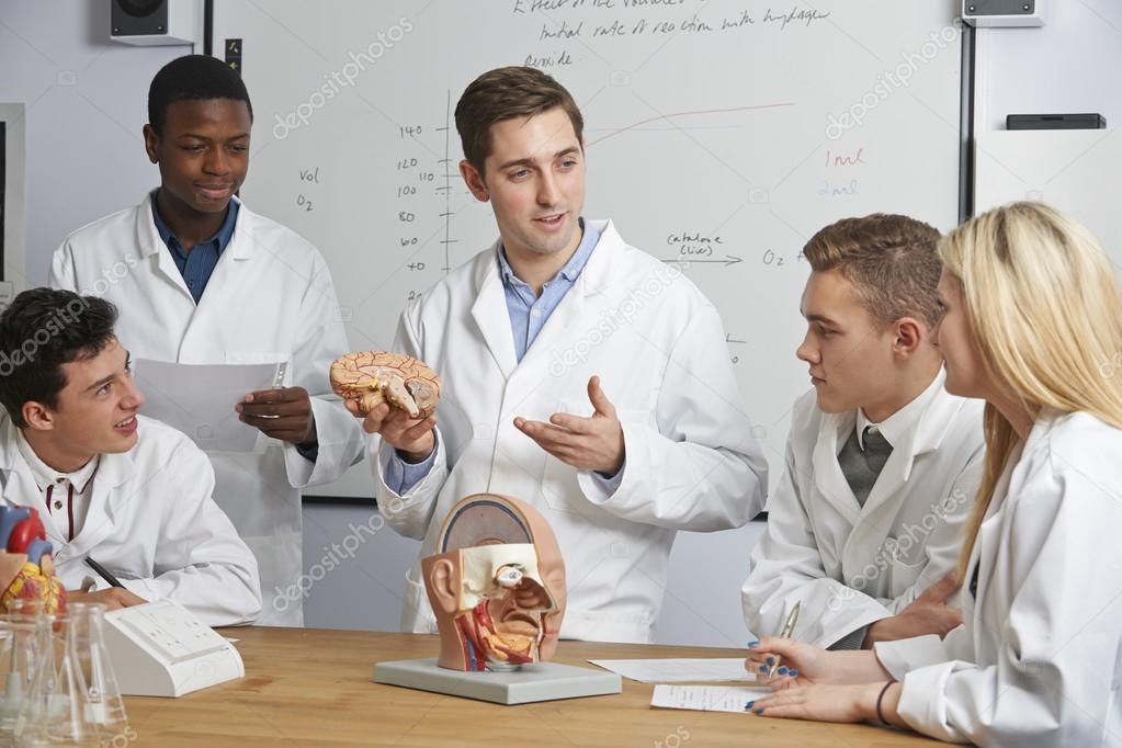 Teacher With Model Of Brain In Biology Class — Stock Photo