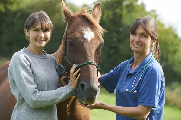 Female Vet Examining Horse In Field With Owner — Stock Photo, Image