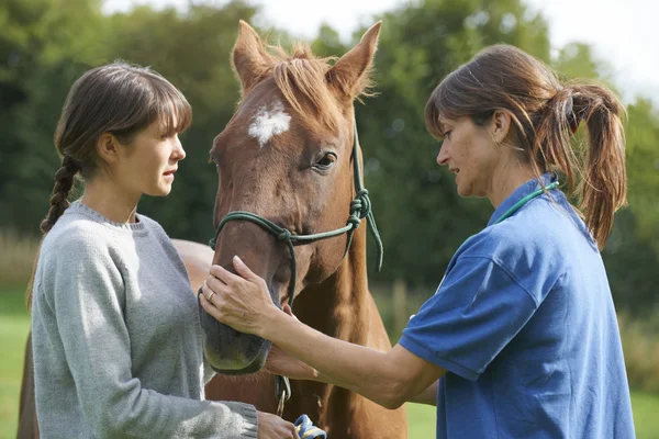 Female Vet Examining Horse In Field With Owner — Stock Photo, Image