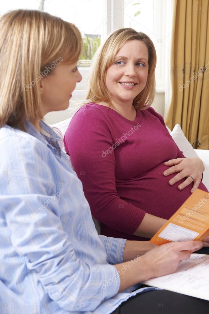 Midwife Discussing Literature With Pregnant Woman On Home Visit