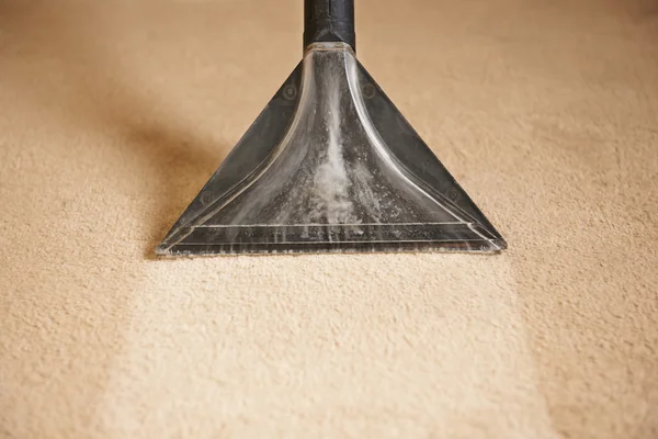 Professionally Cleaning Carpets — Stock Photo, Image