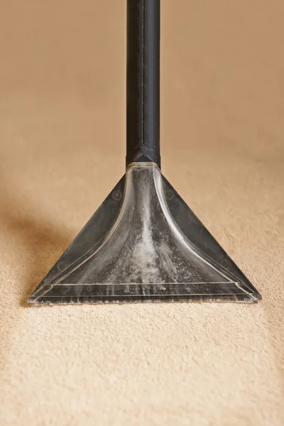 Professionally Cleaning Carpets — Stock Photo, Image