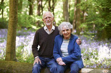 Üst düzey iki günlük Bluebell ormanda oturan