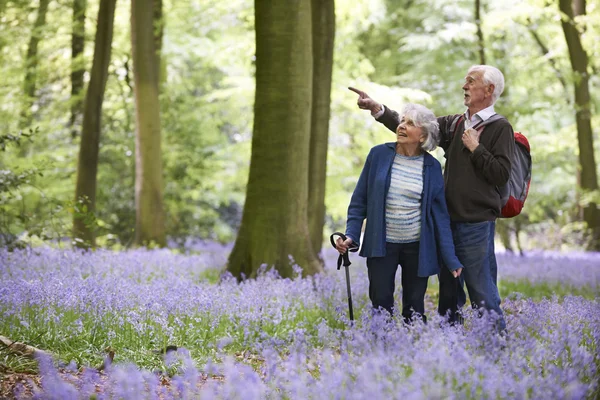 Coppia anziana a piedi attraverso BlueBell legno — Foto Stock