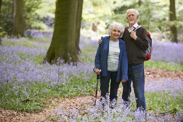 Senior Copuple a piedi attraverso BlueBell legno — Foto Stock