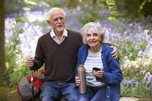 Senior Couple som har pause i gange gjennom Bluebell Wood – stockfoto