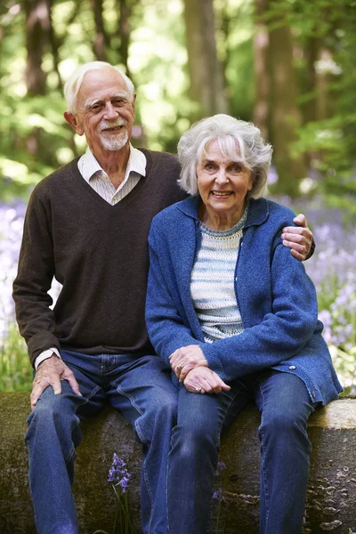 Starszy para siedzi na logu w Bluebell drewna — Zdjęcie stockowe