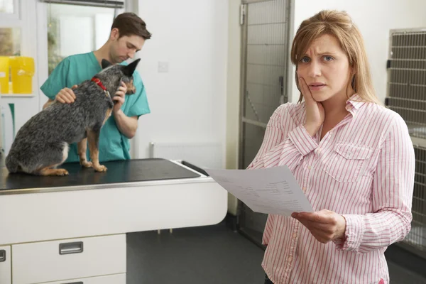 Besorgte Frau schaut in Tierarztpraxis auf Rechnung — Stockfoto