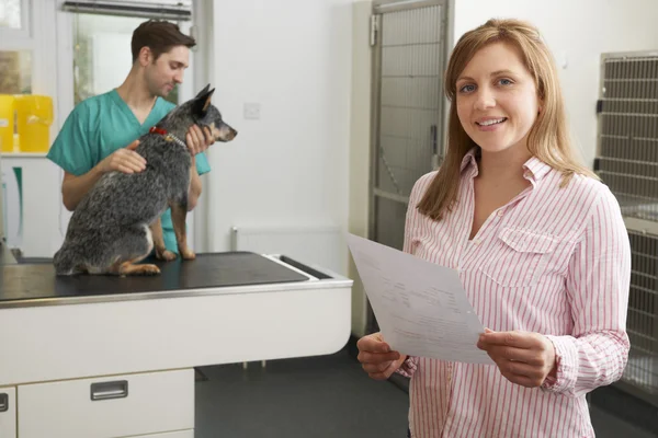 Donna felice guardando Bill in chirurgia veterinaria — Foto Stock