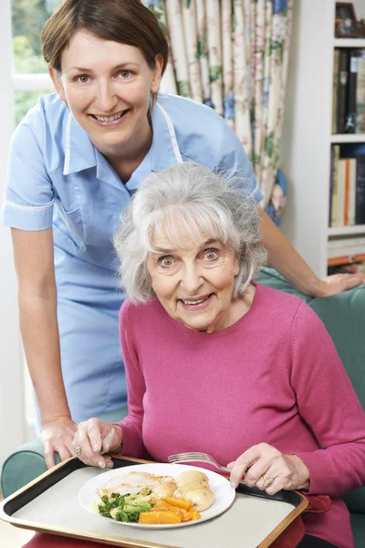 Carer Servire il pranzo alla donna anziana — Foto Stock