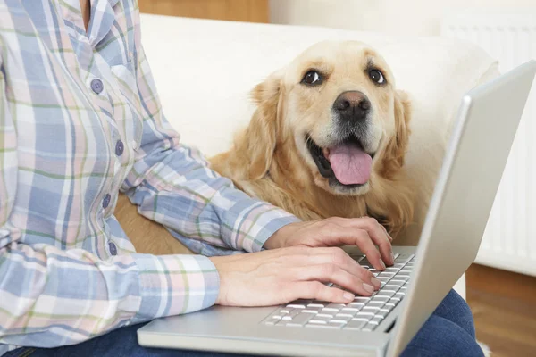 Cão sentado ao lado do proprietário usando laptop — Fotografia de Stock