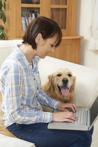 Dizüstü bilgisayar kullanarak sahibi yanında oturan Labrador — Stok fotoğraf