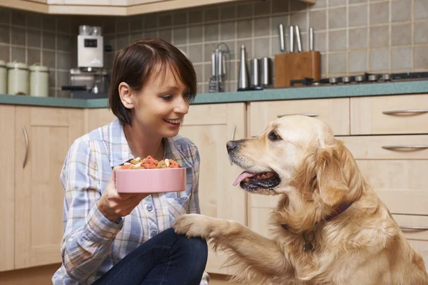 Dono dando Golden Retriever refeição de biscoitos de cão na tigela — Fotografia de Stock