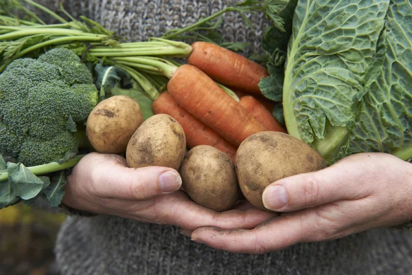 Uomo in possesso di prodotti freschi raccolti dal giardino — Foto Stock