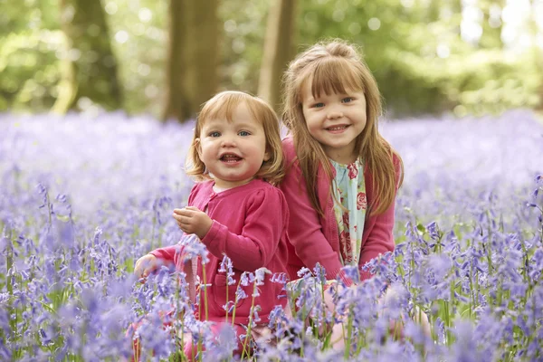 蓝铃花树林里围坐在一起的两个女孩 — 图库照片