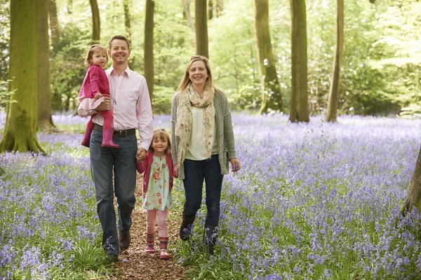 Familia caminando por Bluebell Woods juntos — Foto de Stock