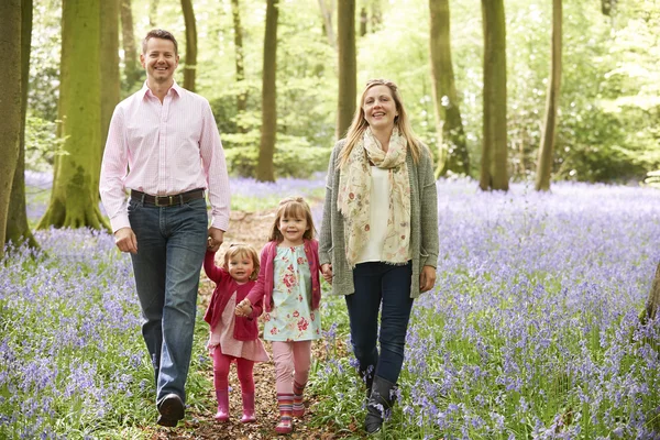 Familjen går genom Bluebell skog tillsammans — Stockfoto