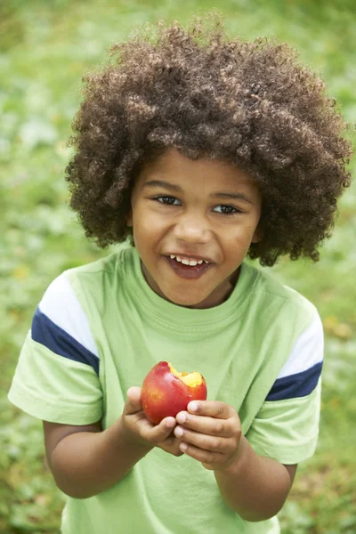 Маленький хлопчик їсть нектарин на відкритому повітрі — стокове фото