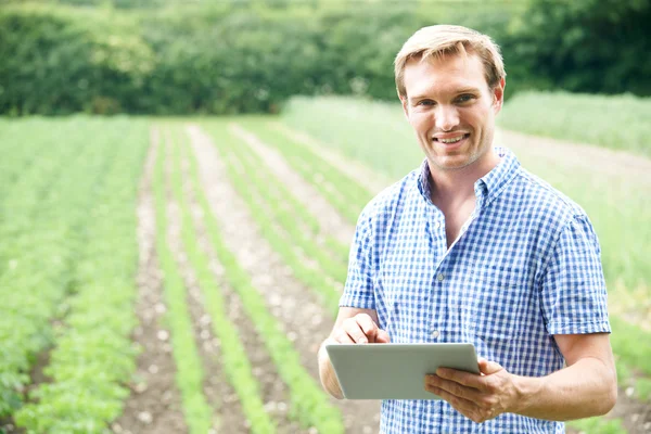 Farmer, szerves gazdaságban, digitális tábla használata — Stock Fotó