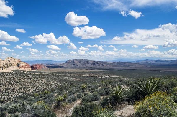 Cañón Red Rock — Foto de Stock