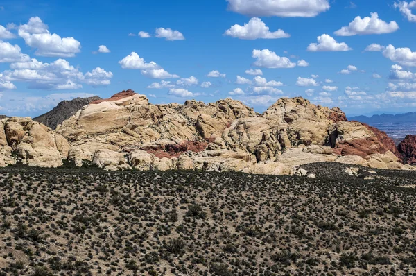 Cañón Red Rock — Foto de Stock