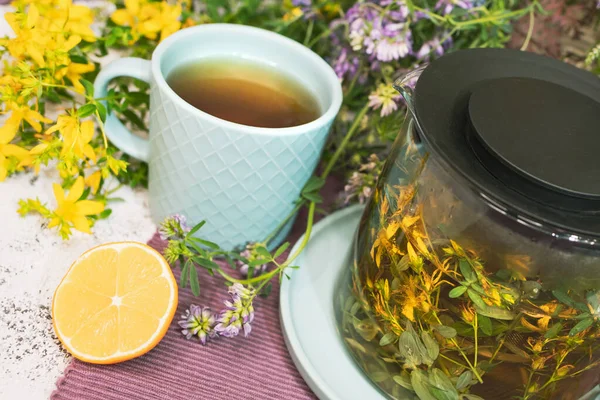 St Johns wort tea — Stock Photo, Image