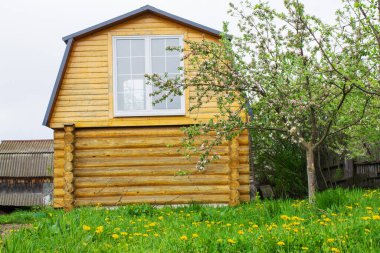 Köyde ahşap bina, bahçesinde pencere var..