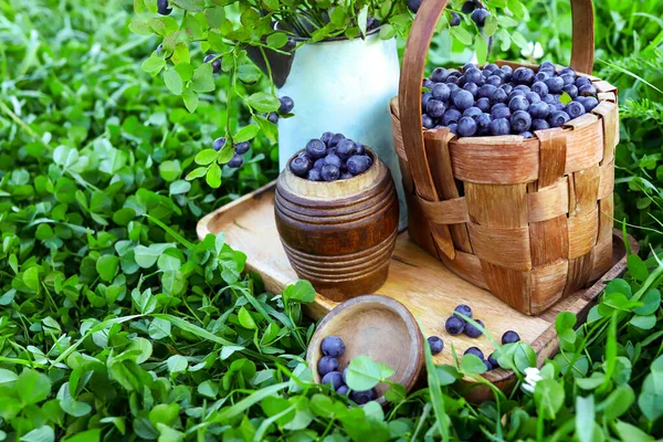 Ripe blueberries in basket on tray on background of greenery. — Stock Photo, Image
