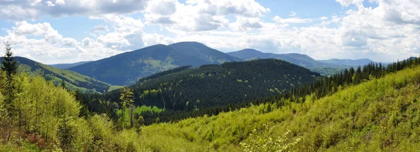 Panorama del paisaje — Foto de Stock