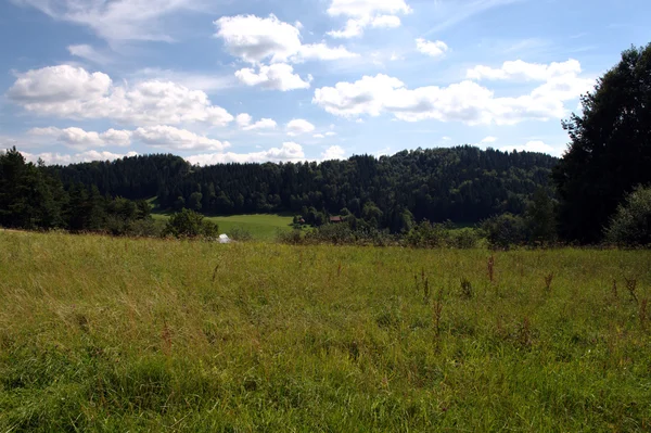 Landscape panorama — Stock Photo, Image