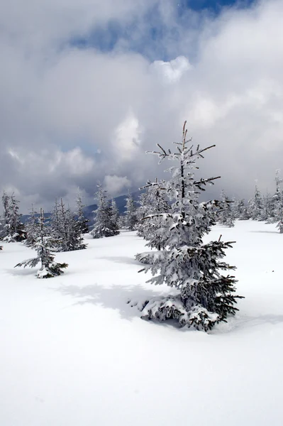 Zima sielanka — Zdjęcie stockowe