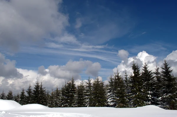 Landschap Panorama — Stockfoto